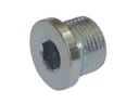 BUJÃO 2" BSP DIN 908