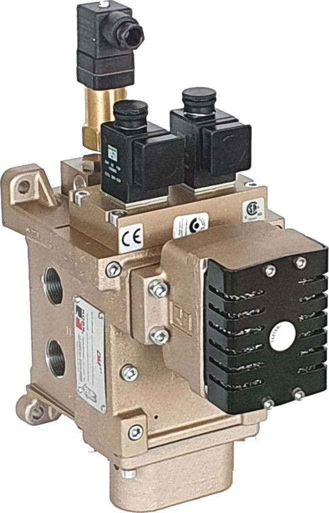 VÁLVULA DE SEGURANÇA DM 2, TN8, 3/4" NPT, 24 VDC, COM CONECTORES M12, RESET MANUAL, BLOCO SINALIZADOR DE FALHA E SILENCIADOR
